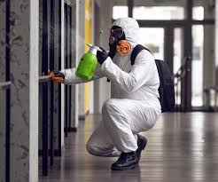 Biohazard Mold Removal in Calhoun, GA